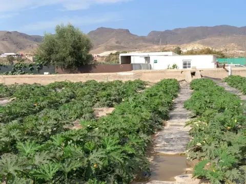 Finca rústica en Pechina