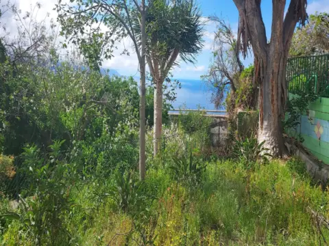 Casa en calle La Matanza de Acentejo