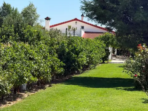Finca rústica en Fuente El Saz de Jarama