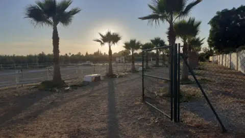 Terreno en Espartinas