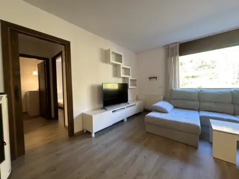 Appartement 2 chambres à louer à Llorts, Ordino · 14 sur 60