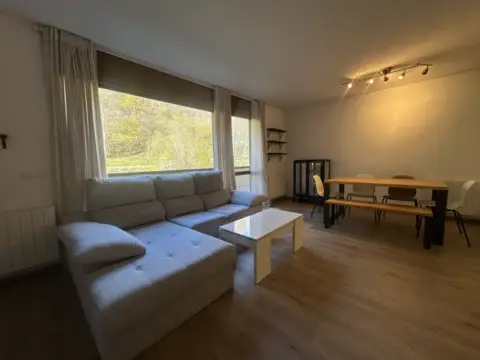 Appartement 2 chambres à louer à Llorts, Ordino · 8 sur 60