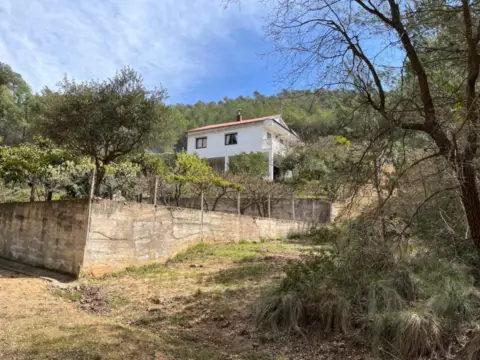 House in Molí del Blanquillo