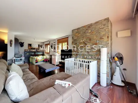 Chalet 5 chambres à vendre à Aixirivall, Sant Julià de Lòria · 51 sur 60