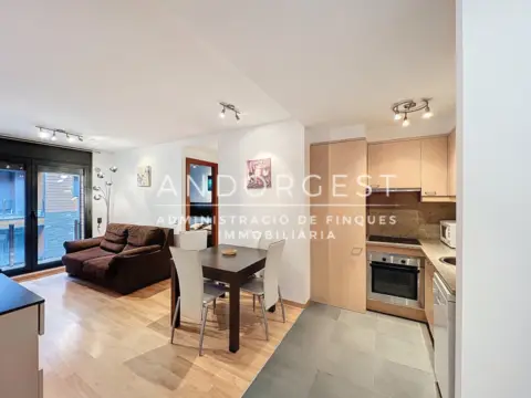 1-bedroom flat for rent in El Tarter, Canillo · 41 of 60