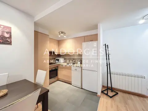 1-bedroom flat for rent in El Tarter, Canillo · 43 of 60