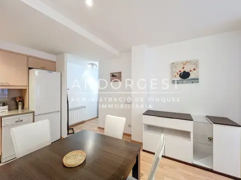 1-bedroom flat for rent in El Tarter, Canillo · 44 of 60