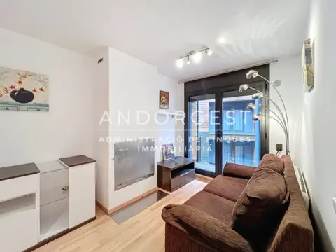 1-bedroom flat for rent in El Tarter, Canillo · 45 of 60