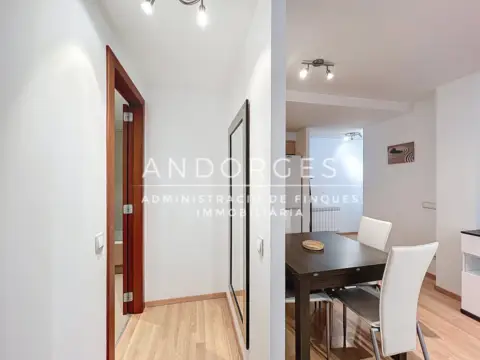 1-bedroom flat for rent in El Tarter, Canillo · 49 of 60