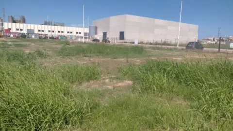 Terreno en Paiporta