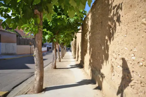 Terreno en calle del Salero, nº SN