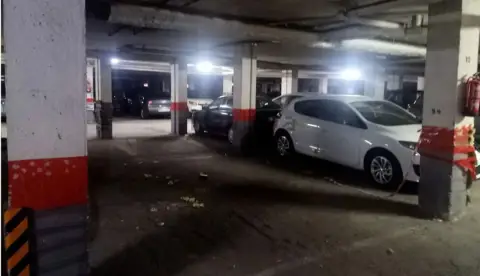 Garaje en calle de los Abetos, nº SN