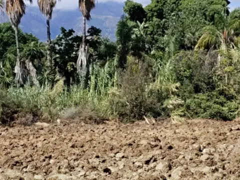 Terreno en Camino Nicola