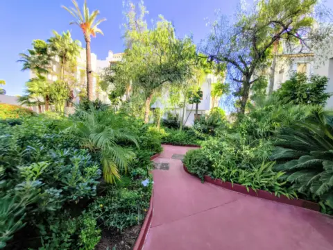 Piso en Avenida Alquería