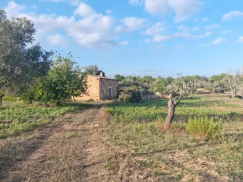 Casa en Sant Llorenç Des Cardassar
