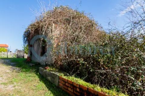 Casa en calle Concesa Josue