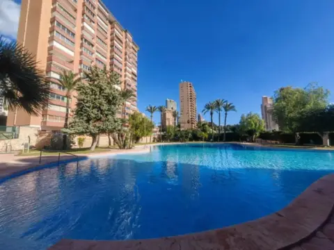Piso en Avinguda de la Marina Baixa