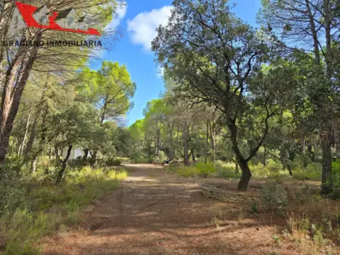 Terreno en Pedanías y Barrios Rurales