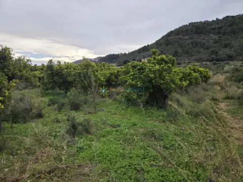 Terreno en Rafelcofer