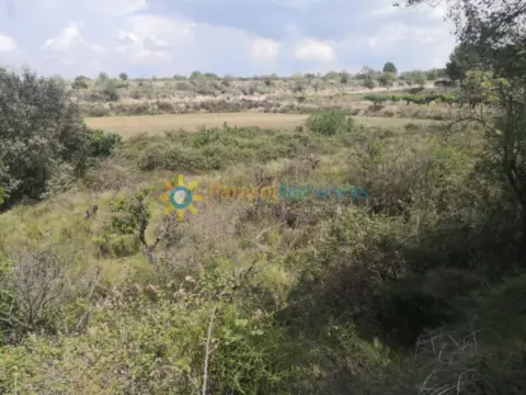 Terreno en Castelló de Rugat