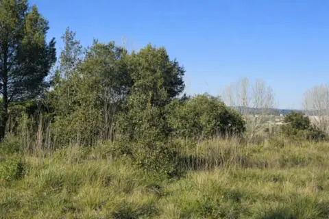 Terreno en Montaverner