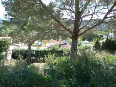 Terreno en Oliva
