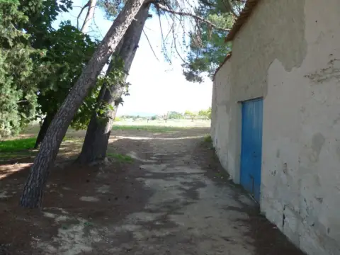 Finca rústica en Albaida