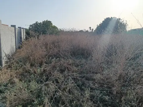 Terreno en Carretera de Sanlúcar
