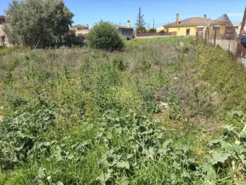 Terreno en calle Asilo