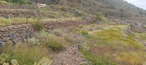 Terreno en calle del Choro