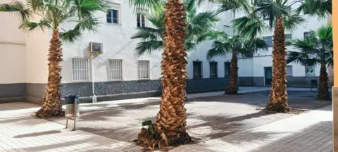 Piso en calle Pintor Romero de Torres