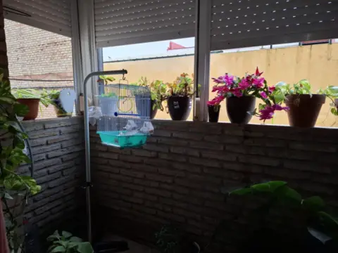 Piso en calle de Entrenaranjos