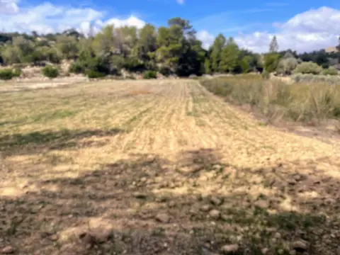 Terreno en calle Poligono 1 Parcela 48