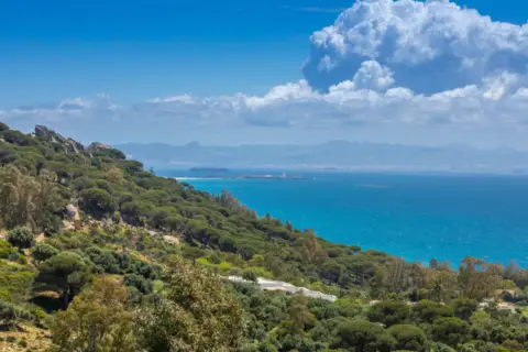 Terreno en calle Valdevaqueros