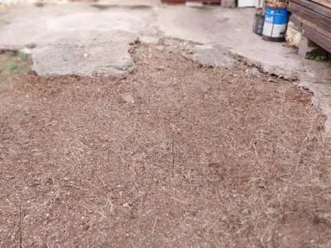 Casa en calle Saranda