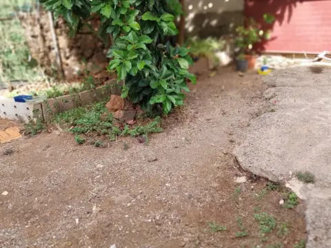 Casa en calle Saranda