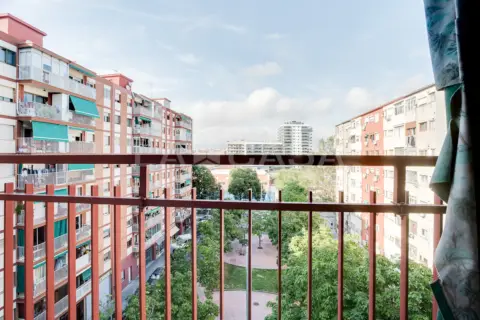 Piso en Carrer del Camp Arriassa