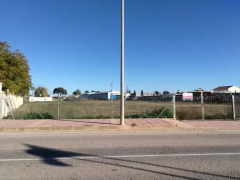 Terreno en Albujón