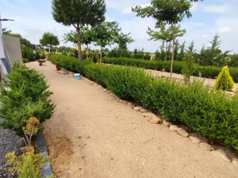 Finca rústica en La Roda