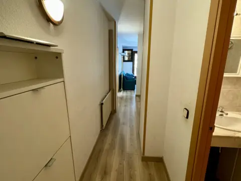 2-bedroom flat seasonal rent in Encamp · 29 of 39