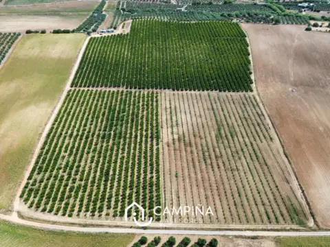 Finca rústica en Carretera Nacional , nº 431
