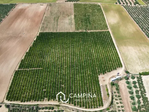 Finca rústica en Carretera Nacional , nº 431