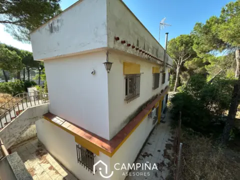 Finca rústica en calle Sapu los Pinos, nº 1