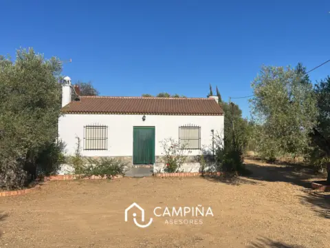 Finca rústica en Camino Romeral