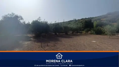 Rural Property in Cabra