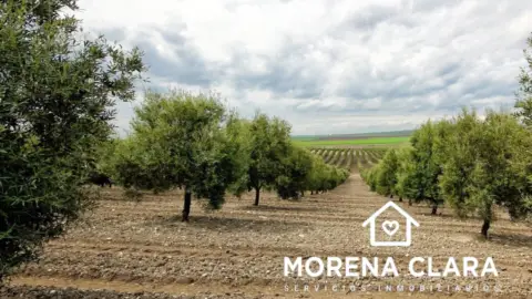 Finca rústica en Cabra