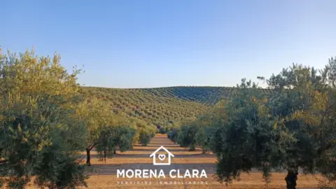 Finca rústica en Cabra