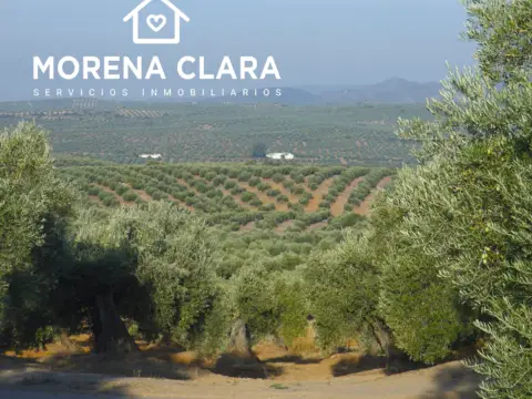 Finca rústica en Cabra
