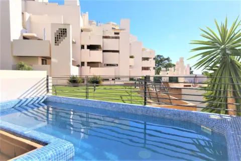 Apartamento en Avenida Mare Nostrum