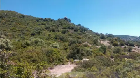 Terreno en Vía Castro Verde Moron de La Frontera